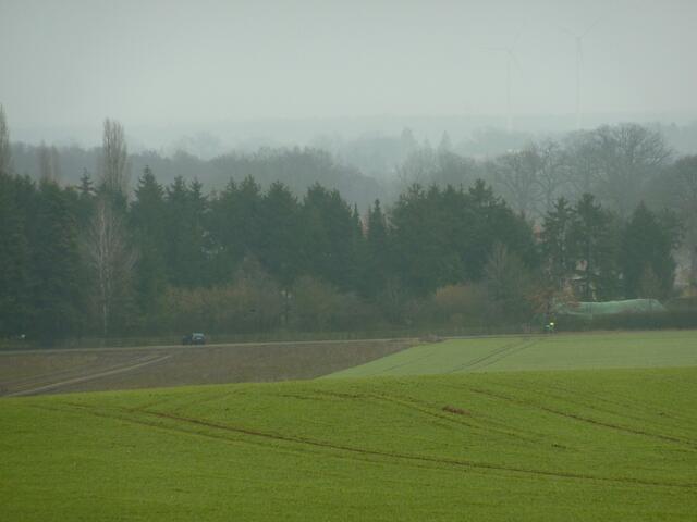 Blick in die nebelverhangene Landschaft der Wedemark