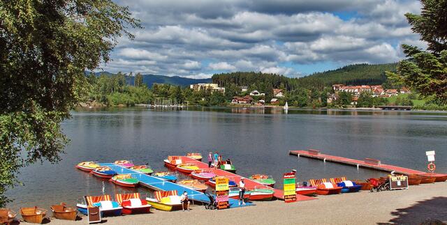Am und im Schluchsee