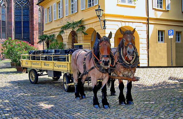 Auf dem Münsterplatz in Freiburg