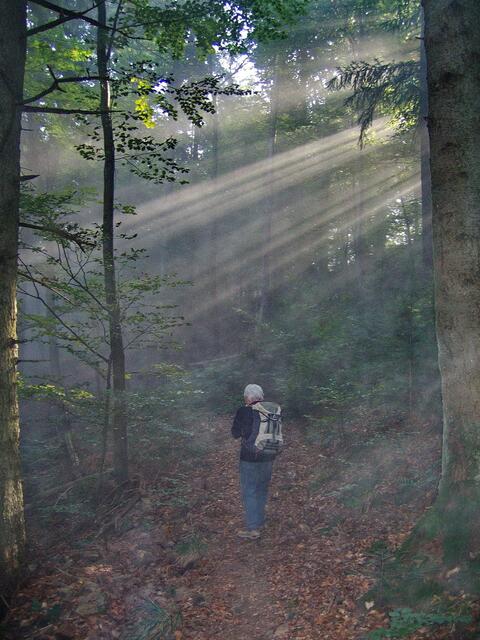 Auch auf dem Etztenbacher Höhenweg, einer der Lieblingswege meiner Frau