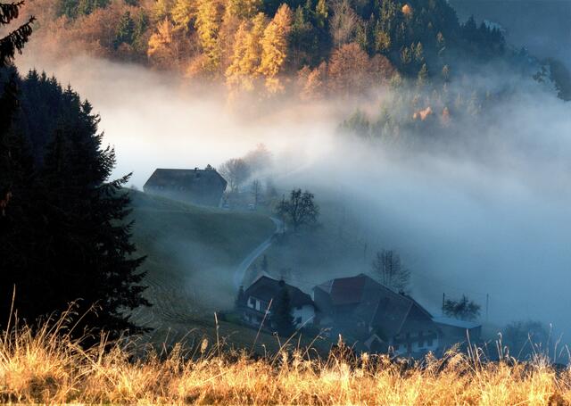 Die Kohlerhöfe vom Etzenbacher Höhenweg aus gesehen  bei aufsteigendem Nebel