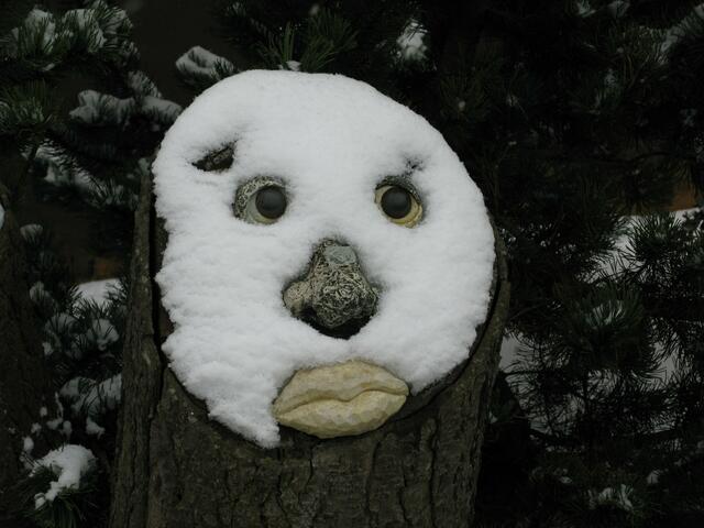 Vielleicht eine Schneeeule, mit ein wenig Schnee steht mir das besonders gut ;-))