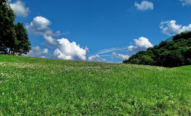 Auf dem Schönberg