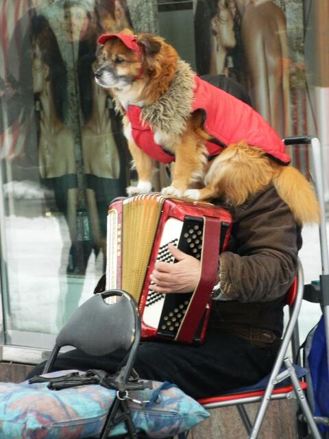 His Masters Voice am St. Lorenzplatz