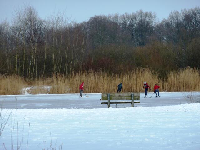 Winterfreuden bei blauem Himmel, Wintersonne und Frost an der Wietze