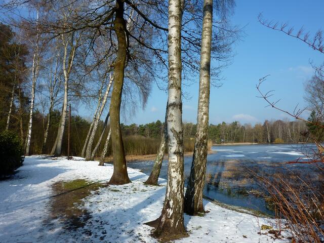 Ein scharfer Ostwind sorgte für Eiseskälte am Würmsee, obwohl die Sonne vom blauen Himmel strahlte.