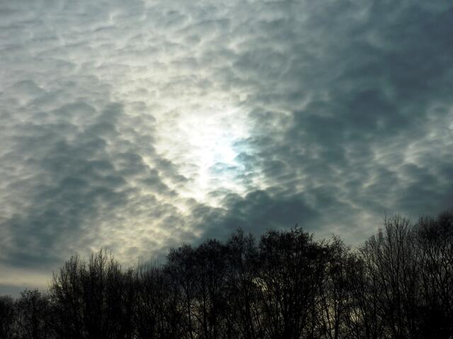 Die Sonne kämpft sich über den Wietzeauen hervor, aber die Wolken gewinnen den Kampf.