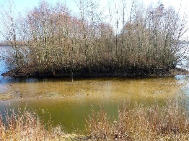 Eine fast quadratische Insel