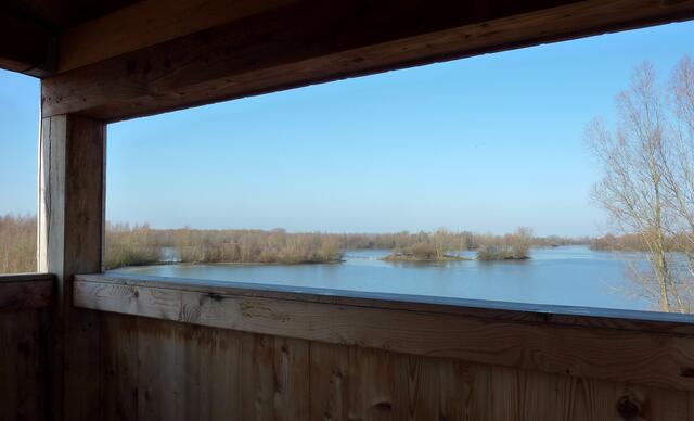 Blick aus dem Aussichtsturm über den Großen Koldinger See