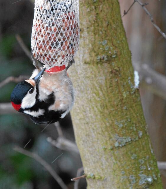 "Oh ja, richtig. Hier muss ich es öffnen!"