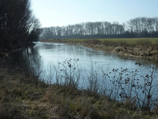 Die Leine