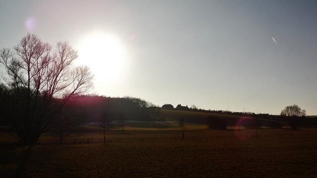 Samstag der 2.3.2013 - im Gegenlicht !