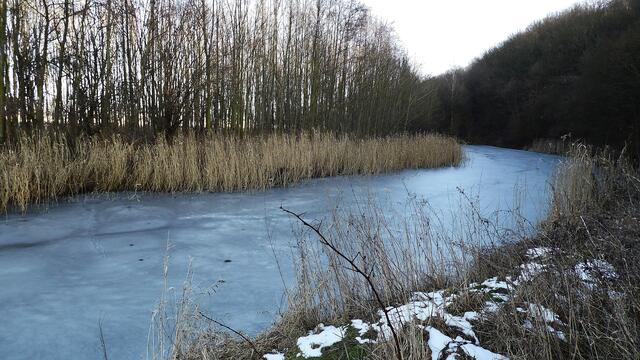Samstag der 2.3.2013 - Toter Arm der Unstrut noch zu gefroren !