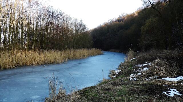 Samstag der 2.3.2013 - Toter Arm der Unstrut noch zu gefroren !