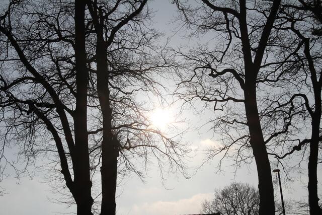 Die Sonne ist endlich da - auch wenn die Temperaturen noch recht niedrig sind, der Frühling naht.
