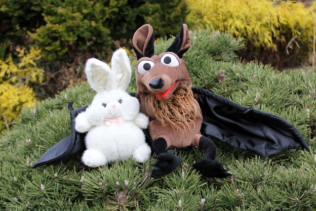 Rätselfrage? Was haben der Osterhase und Fledermäuse gemeinsam? Ein riesen Spaß beim Fledermausstand