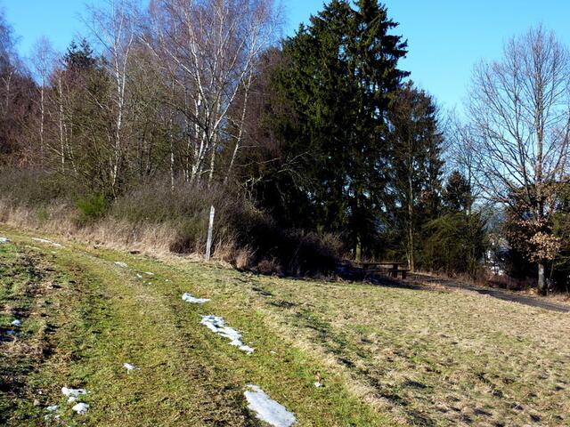 Ein grasbewachsener Spazierweg bietet sich an