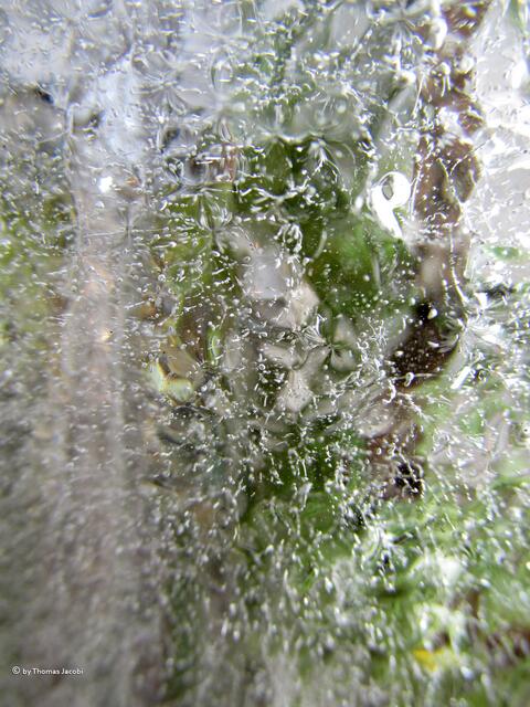 ...wie ein "lebendiger Wasserfall, oder?