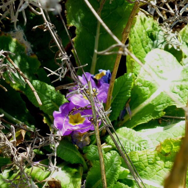 `Winter ade! Scheiden tut weh ...