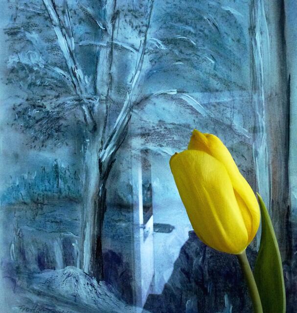 Winter ade, scheiden tut weh!