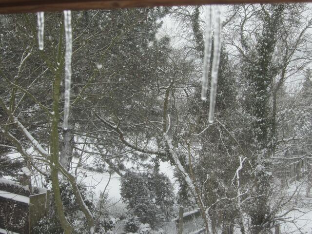 Fenster- ...
