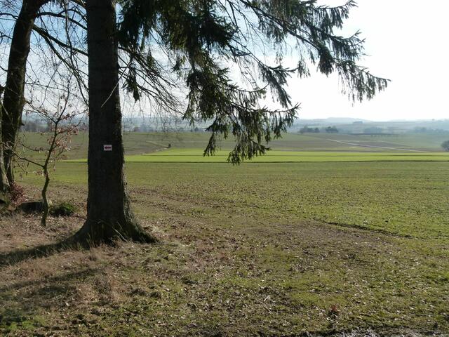 Die neuen weißen Markierungen sind schon von weitem sichtbar.