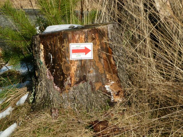 Die neuen Wegweiser heben sich deutlich vor dem dunklen Hintergrund ab.