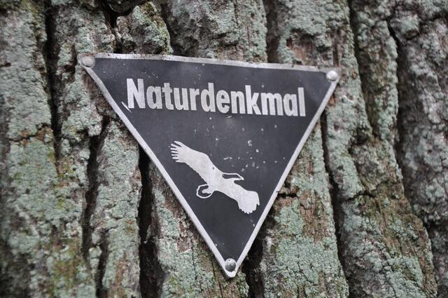 Im Detail - Wennebostel im Burgdorfer Land © OKOK TELEVISION