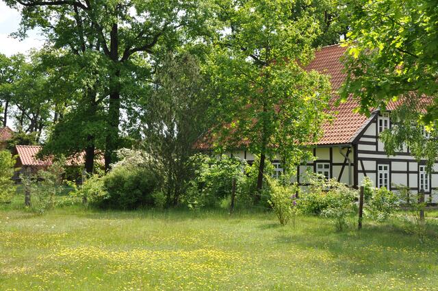 Im Detail - Meitze im Burgdorfer Land © OKOK TELEVISION
