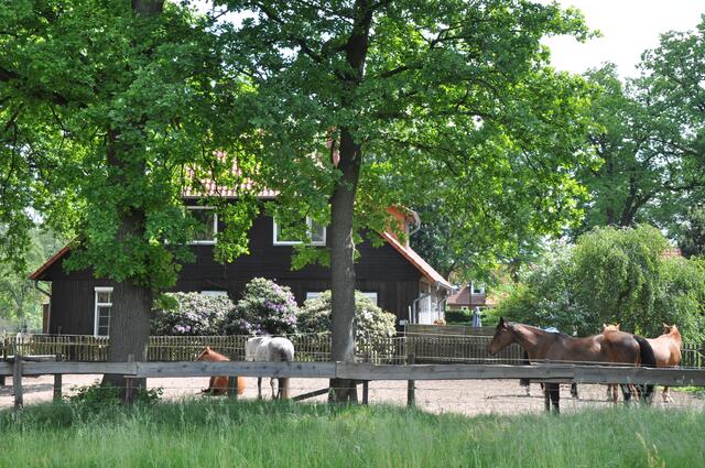 Im Detail - Meitze im Burgdorfer Land © OKOK TELEVISION