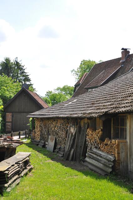 Im Detail - Meitze im Burgdorfer Land © OKOK TELEVISION