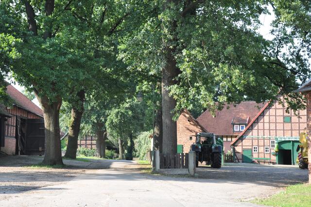 Im Detail - Wennebostel im Burgdorfer Land © OKOK TELEVISION