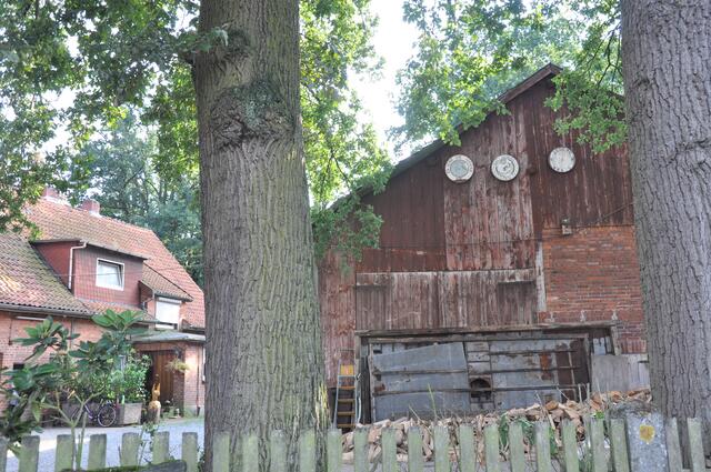 Im Detail - Wennebostel im Burgdorfer Land © OKOK TELEVISION