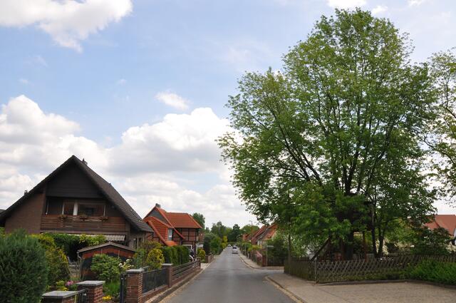 Im Detail - Mellendorf im Burgdorfer Land © OKOK TELEVISION