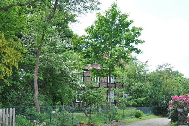 Im Detail - Mellendorf im Burgdorfer Land © OKOK TELEVISION