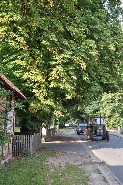 Im Detail - Wennebostel im Burgdorfer Land © OKOK TELEVISION