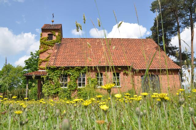 Im Detail - Meitze im Burgdorfer Land © OKOK TELEVISION