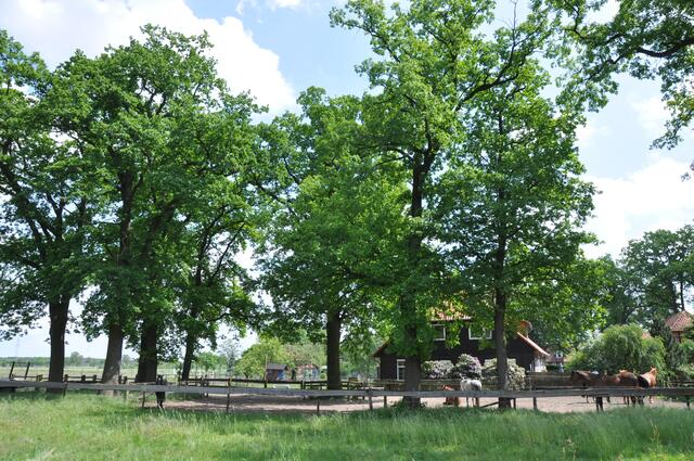 Im Detail - Meitze im Burgdorfer Land © OKOK TELEVISION