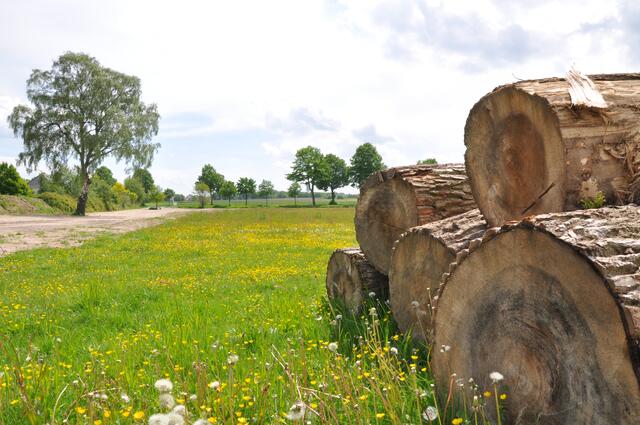 Im Detail - Mellendorf im Burgdorfer Land © OKOK TELEVISION