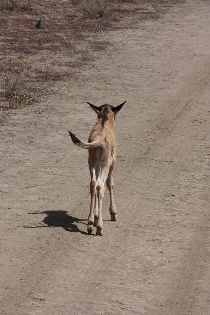 Dann suche ich halt weiter...