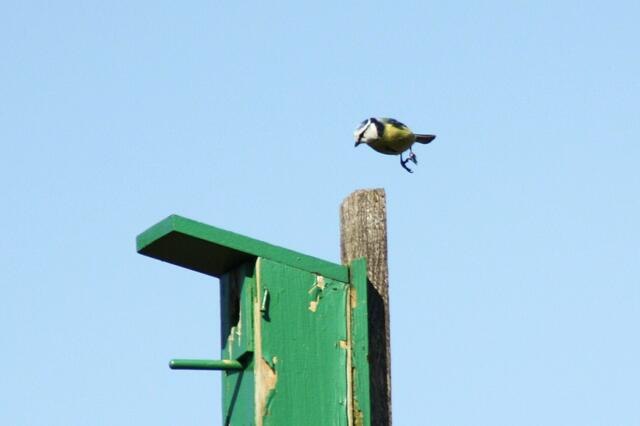 ...einen Sprung nach unten