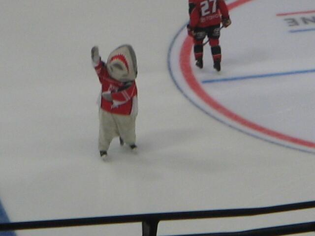 Kölner Haie...Sharky grüßt die Fans
