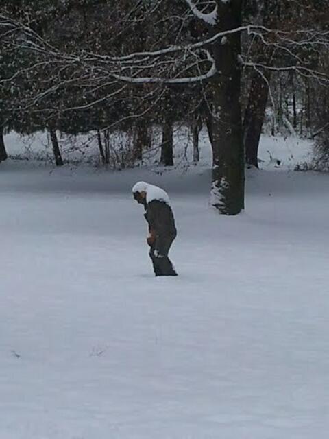 Schneemann aus Stammheim