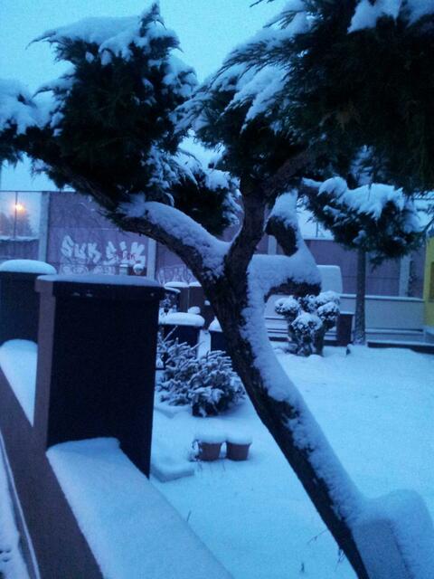Im Morgengrauen