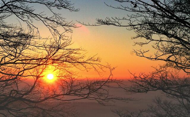 Dezembersonne über dem Nebel, Heiligabend 2007