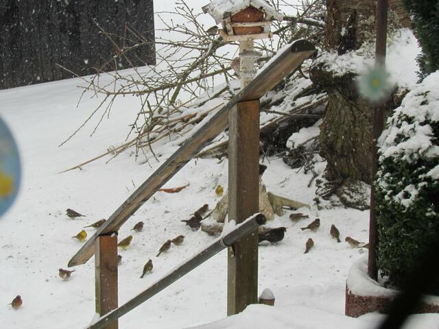 Ein Bild vom 12. März 2013 zum neuen Wintereinbruch