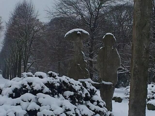 Grafenpaar im Schnee