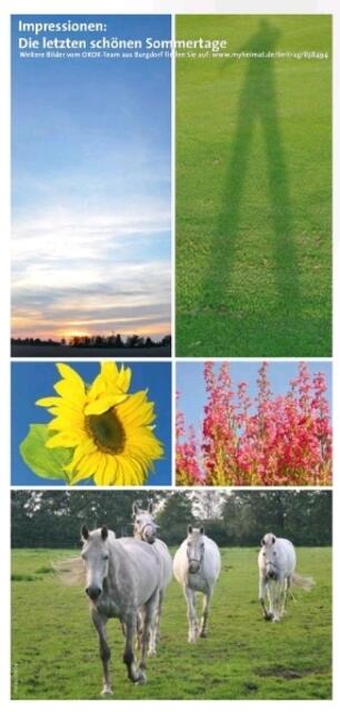 Veröffentlichter Bildbericht aus der OKOK Television Serie "Im Detail - Burgdorfer Land" © OKOK TELEVISION / MYHEIMAT