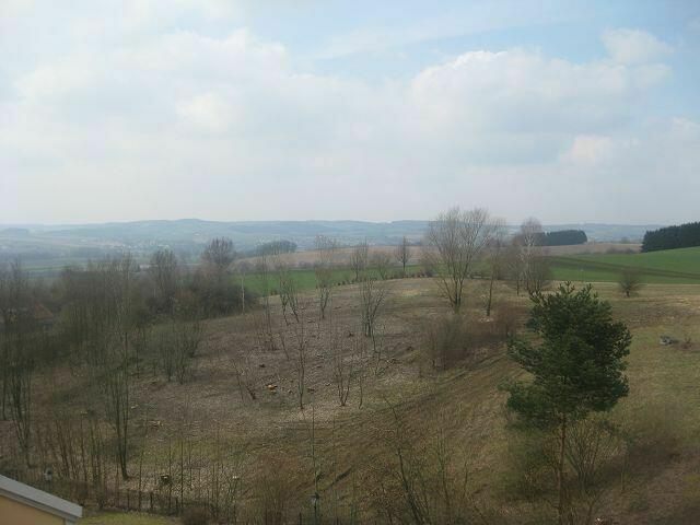 am 16.3.2013