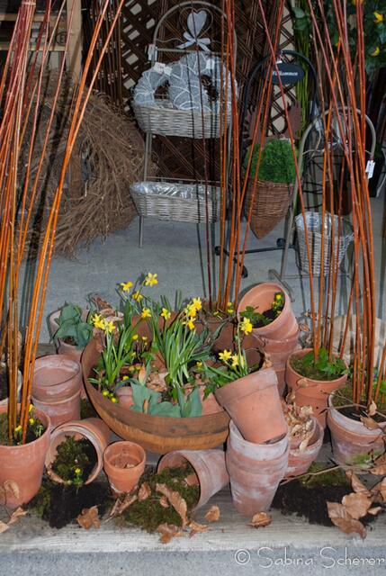 20. Jugendwettkampf 2013 der Floristen-Auszubildenden im Bezirk Schwaben-Mitte.